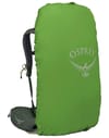 Osprey + Kestrel 38 Bonsai Green - 5