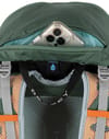 Osprey + Hikelite 26 Pine Leaf Green - 7