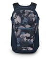 Osprey + Daylite Plus Palm Foliage Print - 3