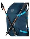 Osprey Hikelite 28 M/L pine leaf green | Webwinkel