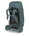 Osprey + Viva 65 Succulent Green