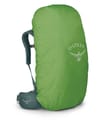 Osprey + Viva 65 Succulent Green - 4