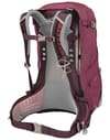 Osprey + Sirrus 34 Elderberry Purple/Chiru Tan
