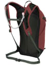 Osprey + Sportlite 15 Acorn/Bonsai