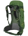 Osprey + Stratos 26 Seaweed/Matcha Green
