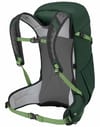 Osprey + Hikelite Tour 32 Green Canopy/Botanica - 3