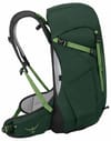 Osprey + Hikelite Tour 32 Green Canopy/Botanica - 4