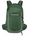 Osprey + Talon 22 Green Canopy/Pine Leaf