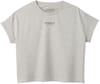 Passenger + Slower Rhythms Organic Cotton Tshirt W Grey Marl