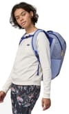 Patagonia + Black Hole Pack 25L Pale Periwinkle - 5