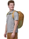 Patagonia + Black Hole Pack 25L Pufferfish Gold - 3