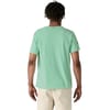 Patagonia + Fitz Roy Icon Responsibili-Tee Rinsed Green - 4