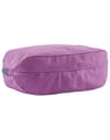 Patagonia + Black Hole Cube 3L Brisk Purple