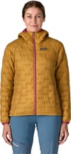 Patagonia + W's Micro Puff Hoody Thin Ice