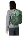 Patagonia + Refugio Day Pack 30L Cover Green