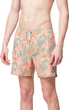 Picture Organic Clothing + Piau 15 Boardshort Eden Garden - 3