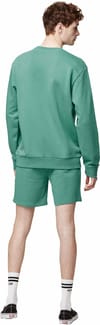 Picture Organic Clothing + Augusto Shorts Spectra Green - 6