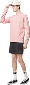 Picture Organic Clothing + Ofiters LS Tee Woodrose Washed - 6