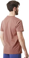 Picture Organic Clothing + Basement Wealth Tee Burlwood