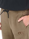 Picture Organic Clothing + Kimag Pants Shitake - 6