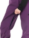 Picture Organic Clothing + Exa Pants Grape Royal - 8