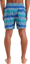 Quiksilver + Surfsilk Straight Volley 16 Global Heat Dusted Peri - 4