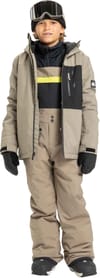 Quiksilver + Mash Up Youth Bib Fallen Rock - 4
