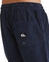 Quiksilver + Taxer Cord Short Youth Dark Navy - 5