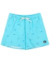 Stretch Printed Volley 16 Aqua Spaced Out + Quiksilver