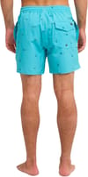 Quiksilver + Stretch Printed Volley 16 Aqua Spaced Out - 5