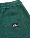 Quiksilver + Taxer Cord Youth Pant Forest - 4
