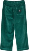 Quiksilver + Cruiser Cord Pant Boys Forest