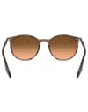 Ray-Ban + RB2204 Polished Striped Brown Red Pink Black - 3