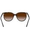 Ray-Ban + RB4378 Polished Havana Gradient Brown - 3