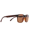 Red Bull Spect Eyewear + Earle Havanna - Brown - 3