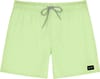 Daily Volley 16 Patina Green + Rip Curl
