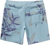 Roark + Passage Boardshort Dusty Blue
