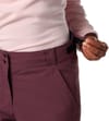 Rossignol + Jr Insulated Ski Pant G Huckleberry - 5