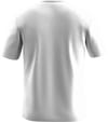 Salewa + Eagle Cover T-Shirt M Optical White