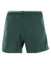 Salomon + Cross 5'' Shorts M Ponderosa Pine
