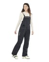 Salomon + Stance 3L Shell Pant W Deep Black