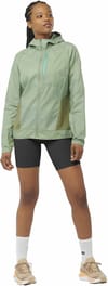 Salomon + Bonatti Cross Fz Hoodie W Lily Pad Deep Lichen Green - 5