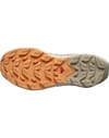 Salomon + Elixir Activ GTX W Falcon/White Pepper/Papaya - 3