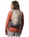 Salomon + Xt 20 Set Feather Gray/Plum Kitten/Cherry Tom - 4