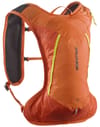 Cross 4 Cherry Tomato/Dragon Fire + Salomon