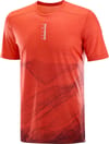S/Lab Ultra Tee Aop M Burnt Sienna/Decadent Chocolate + Salomon