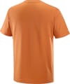 Salomon + Salomon Logo Tee M Sierra