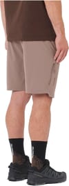 Salomon + Wayfarer 2.0 Shorts M Iron - 3