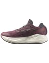 Salomon + Aero Glide 4 W Huckleberry/Vanilla Ice - 4
