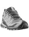 Salomon + XA Pro 3D V9 GTX W Alloy/Castlerock